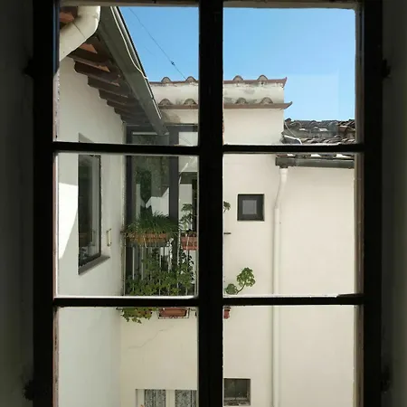 Magnificent Florentine